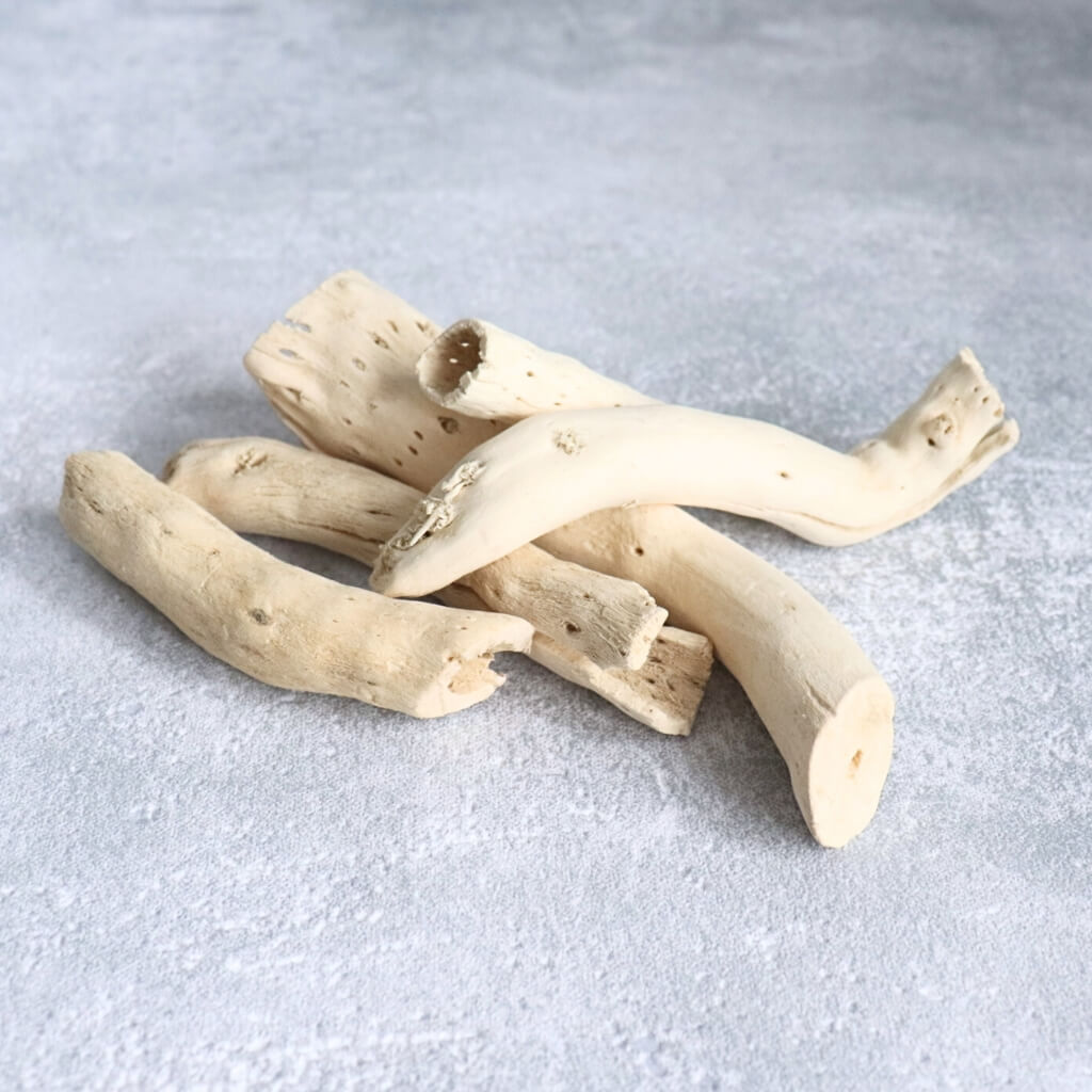 Větvičky Pepe Cone – bílá, přírodní dekorace pro aranžmá a tvoření